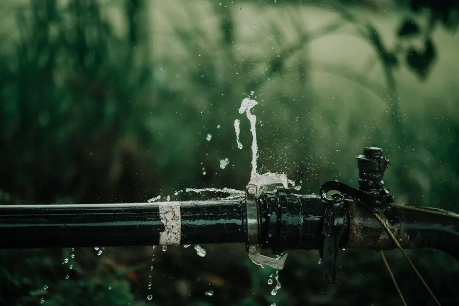 Our Expertise in Leak Detection